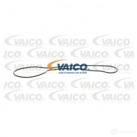 Водяной насос, помпа VAICO 2 S08P 1566704 4046001782312 V30-50084 - Изображение 2