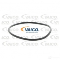Водяной насос, помпа VAICO 1217443761 4046001845260 V48-50011 DJN S91 - Изображение 2