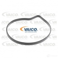 Водяной насос, помпа VAICO 1424489063 7R1I K7 V30-50095 - Изображение 2