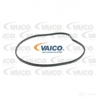 Водяной насос, помпа VAICO V20-50046 1559702 V4XS B 4046001583810 - Изображение 2