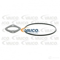 Водяной насос, помпа VAICO V40-50052 4046001543784 1570556 TGB AGD6 - Изображение 2