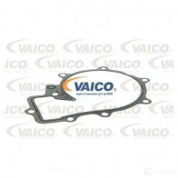 Водяной насос, помпа VAICO V30-50081 1566701 SOE BMS 4046001686863 - Изображение 2