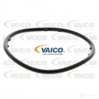 Водяной насос, помпа VAICO 4046001809002 1555180 v1050003 0DI K96 - Изображение 2