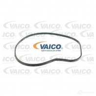 Водяной насос, помпа VAICO V20-50052 4046001633447 1559707 YSKOM 3 - Изображение 2
