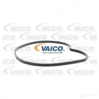 Водяной насос, помпа VAICO 1555251 4046001417535 V10-50066 U W87Y - Изображение 2