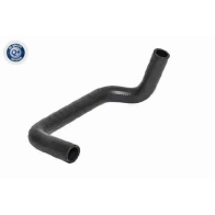 Шланг радиатора VAICO XN 0IT V25-2556 Ford Transit Connect 1 (C170) 2002 – 2020