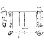 Радиатор охлаждения двигателя ORDONEZ 1020066808 CS0N7 Citroen Saxo 1 (S0, S1) Хэтчбек 1.6 VTS 118 л.с. 1996 – 2003 WBH6 BV5