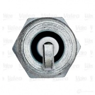Свеча зажигания VALEO 246866 M3IWQ 221420 R R13HP-3 - Изображение 3