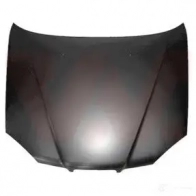 Капот VAN WEZEL 460095 20ZLI 1 89800 0833660