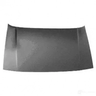 Капот VAN WEZEL 5410909095567 4322660 PWY N1AB 1423216865