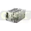 Головка блока цилиндров OREX XF T19W1 1275969921 LBNRZ 210006