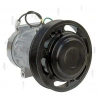 Компрессор кондиционера ZAUFER 501N10193Z 1441037059 6G SF2