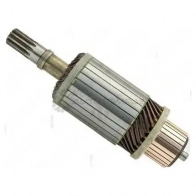 Ротор стартера ZAUFER 4ODK 9XI 318N10098Z 1441041497