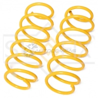 Пружина передняя