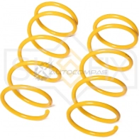 Пружина передняя