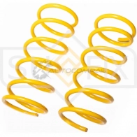 Пружина передняя SUFIX 9DX NJ SZ-1339 1440889672
