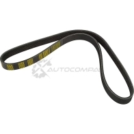 Ремень приводной поликлиновой 6PK975 Volkswagen Passat Sharan 1.6-2.0 93-96 ZENTPARTS Z22584 WD4 NL84 1441245183