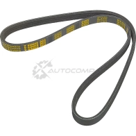 Ремень приводной поликлиновой 4PK860 Bmw X5 (E53) 4.4i 03 ZENTPARTS LYX DM 1441245932 Z23125 - Изображение 3