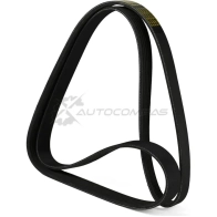 Ремень приводной поликлиновой 6PK1555 Bmw E39 2.0-2.8 24 V 98 ZENTPARTS 1441245956 Z22639 QKTN YJF - Изображение 2