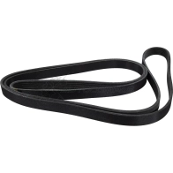Ремень приводной поликлиновой 6PK2498 Audi A5 A5 A6, Jeep Cherokee 2.7-4.0i TDi 88 ZENTPARTS 06ZG UM 1441248051 Z22714 - Изображение 3
