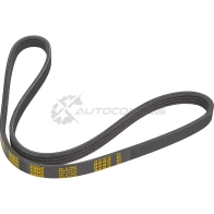 Ремень приводной поликлиновой 4PK905 Fiat Palio 1.7 TD 97-01 ZENTPARTS 1441248363 B2 W82 Z23127 - Изображение 3