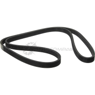 Ремень приводной поликлиновой 4PK1237 Audi A4- A8, Volkswagen Passat 2.5 TDi 98 ZENTPARTS Z22530 1441248678 WYTW5 5V - Изображение 3