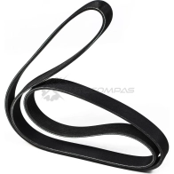 Ремень приводной поликлиновой 8PK1600 Mercedes A Xor, RVi ZENTPARTS F9JN ENQ 1441249778 Z23063 - Изображение 2