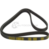 Ремень приводной поликлиновой 5PK1432 Audi A4 1.9 TDi 01, Volkswagen Passat 1.9 TDi 98 ZENTPARTS 1441250973 5 CPJ2KH Z22561 - Изображение 1