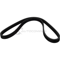 Ремень приводной поликлиновой 4PK810 Nissan Primera (P11) 1.6 16 V 96 ZENTPARTS CF 8SK 1441254668 Z23124 - Изображение 3