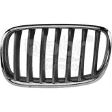Решетка радиатора BBR AUTOMOTIVE 1276561877 N8ZX4 PS SN852H 001-10-18533