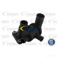 Термостат ож