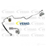 Термостат ож