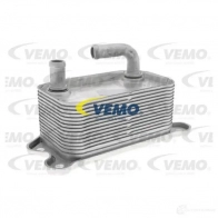 Масляный радиатор двигателя VEMO Volvo V70 3 (135) Универсал 2.4 D5 AWD 205 л.с. 2009 – 2011 4046001944857 W1GM 9 V95-60-0011