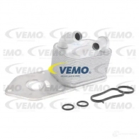 Масляный радиатор двигателя VEMO Ford Transit 8 (V363) Грузовик 2.0 EcoBlue mHEV 170 л.с. 2019 – наст. время V25-60-3027 E TQLBTB