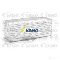Масляный радиатор двигателя VEMO 1437872345 UR 4P2D V33-60-0015