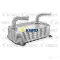 Масляный радиатор двигателя VEMO XQKZ HLU 4046001944956 V95-60-0010 1424911482