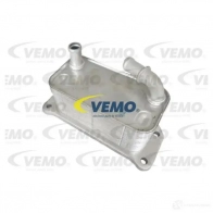 Масляный радиатор двигателя VEMO V95-60-0022 SVP QG 1437871651