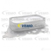 Масляный радиатор двигателя VEMO V30-60-1338 X4S AM 1437872043