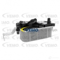 Масляный радиатор двигателя VEMO V20-60-0052 NP 2DL9 4046001945274 1424911433