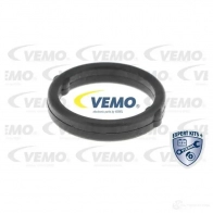Масляный радиатор двигателя VEMO 8XR7F R 4046001944741 1424753243 V24-60-0022 - Изображение 2