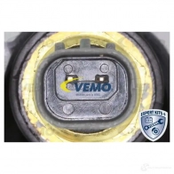 Масляный радиатор двигателя VEMO V33-60-0006 4NRY6L C 1425085493 4062375004140 - Изображение 4