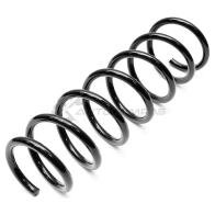 Пружина ABSEL BW345174 LDQD P 1441303571 - Изображение 2
