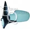 Наружное зеркало EQUAL QUALITY RS03067 JBMAWD 5S2Z1B O Renault Megane (BM, CM) 2 Хэтчбек 1.5 dCi (BM02. BM13. BM2A. CM02. CM13) 101 л.с. 2003 – 2008