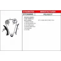 Комплект цепи ГРМ DYNAMATRIX DDE RT 1420414149 M9EWXR DTCK80NG