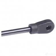 Амортизатор капота AUTOMEGA 4053184287046 100041110 NVX U2W 1198221004 - Изображение 6