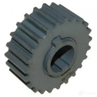 Шестерня коленвала AUTOMEGA 1198229440 4053184332371 19W2LW B 130104310 - Изображение 5
