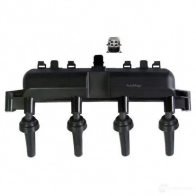 Катушка зажигания AUTOMEGA 4053184342462 150076510 D JPDJV 1198232102 - Изображение 4