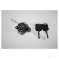 Ключ замка с личинкой AUTOMEGA 308620055893 6250074 YRD CVZ 4053184059278