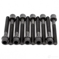 Комплект болтов ГБЦ VICTOR REINZ 95874 0Y16 R 4026634011829 14-32046-01 - Изображение 4