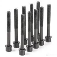 Комплект болтов ГБЦ VICTOR REINZ C BX7R1 4026634193594 95924 14-32104-01 - Изображение 2